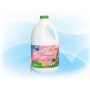JABON LIQUIDO DERMISAM GALON